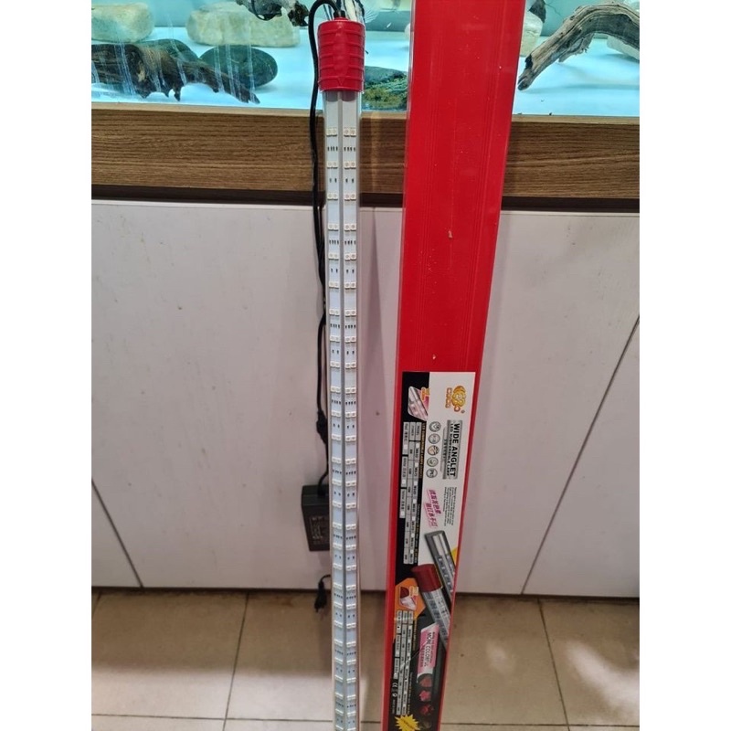 Đèn LED TANNING cá rồng đỏ cá không đỏ nước