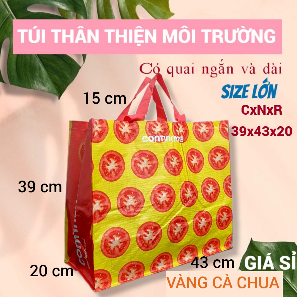 HAI QUAI - TÚI SIÊU THỊ, THÂN THIỆN MÔI TRƯỜNG, ECO SHOPPING BAG, BỀN, ĐỰNG ĐỒ NẶNG, SIZE LỚN