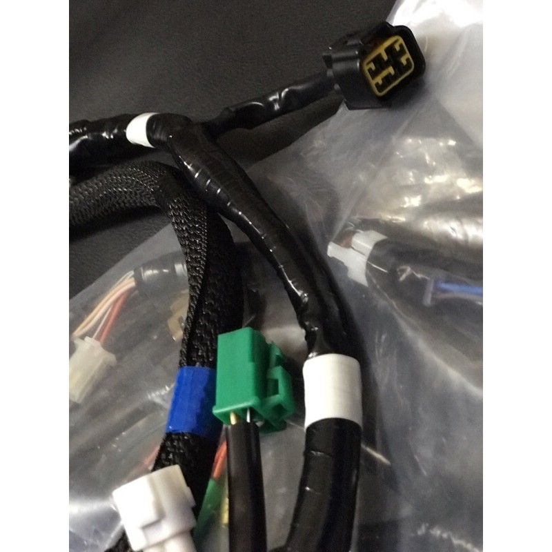 Bộ dây điện sườn Raider xc
