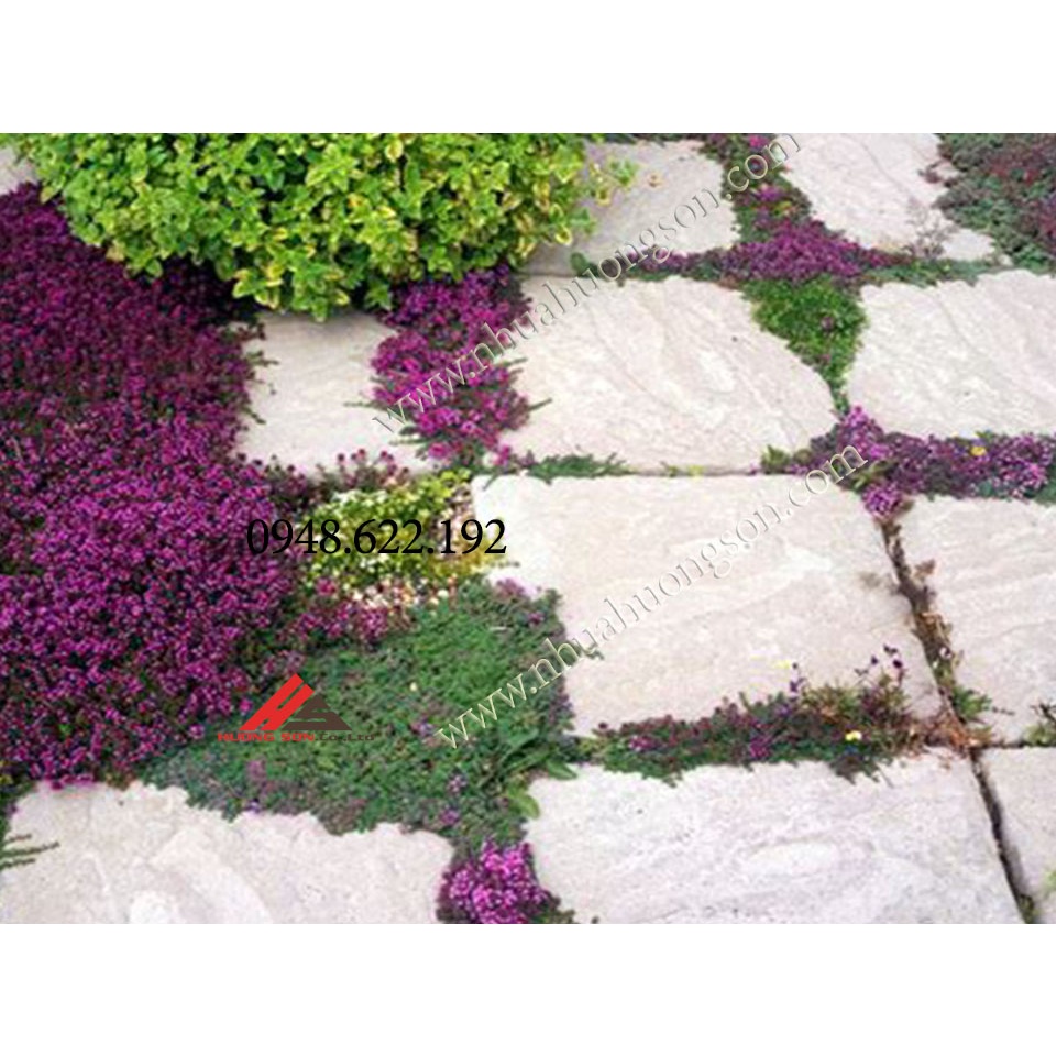 Khuôn nhựa đổ tấm bê tông giả đá chữ nhật 30x60 cm