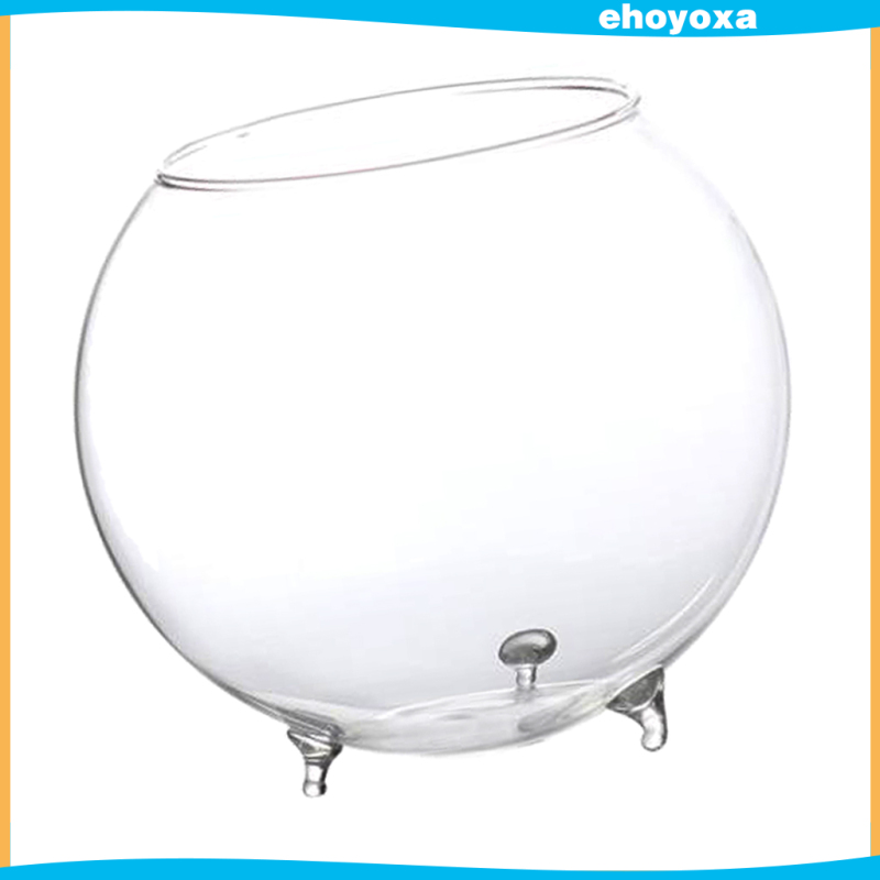 Clear Glass Flower Hydroponic Vase Micro DIY Landscape Terrarium Bottle Container Mini Fish Tank