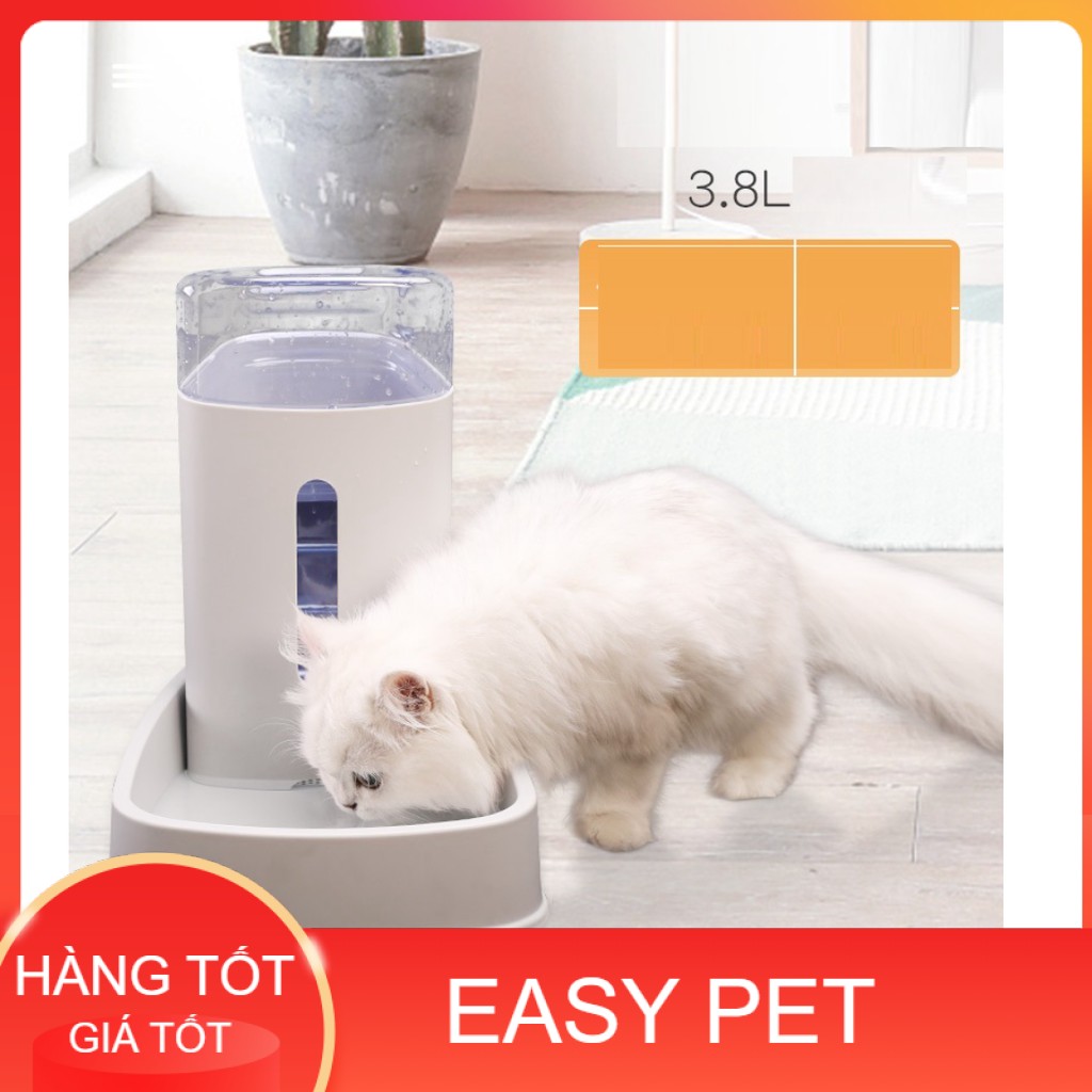 Hn - Máy cho chó mèo ăn uống bán tự động dành cho chó mèo lớn Loại có bồn chứa 3,8 lít- Bộ Bát cho chó mèo ăn và uống/