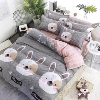 Bộ mền drap phao