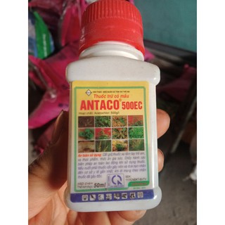 THUỐC TRỪ CỎ LẠC (ĐÂU PHỘNG)