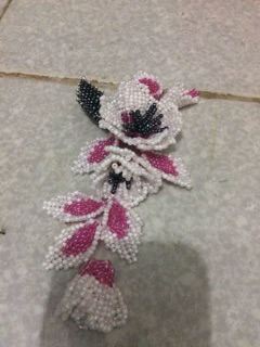 Hoa Cai ao