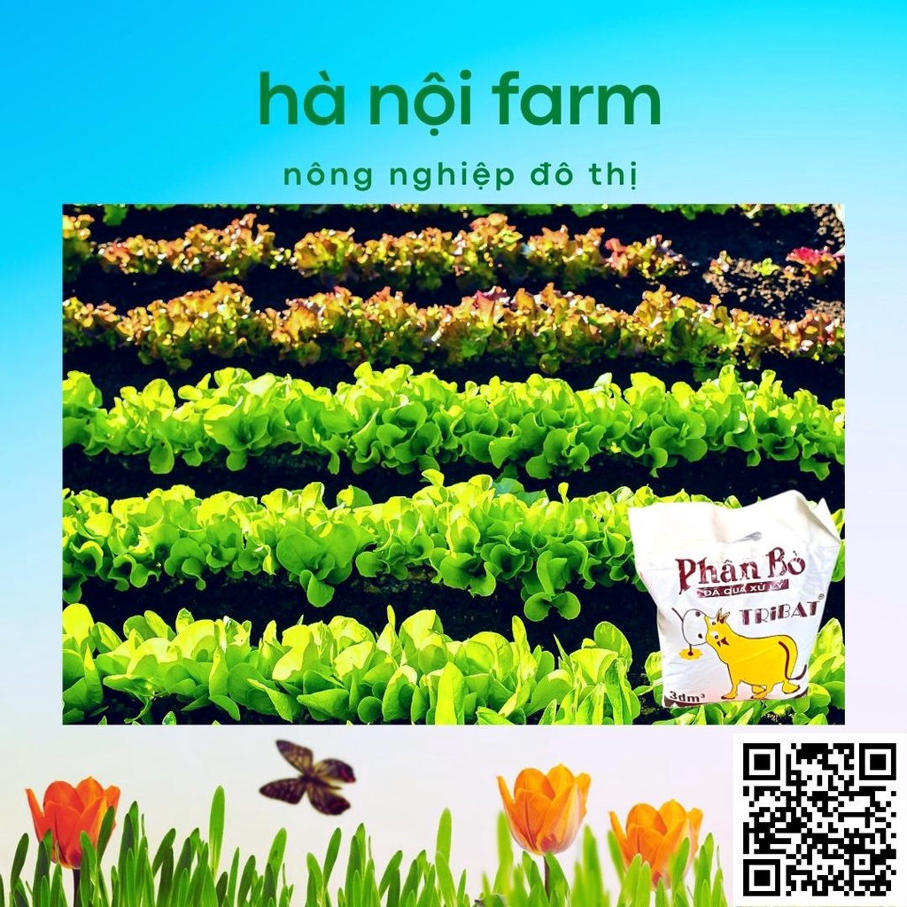 Phân bò khô, phân bò tự nhiên đã qua xử lý dùng cho mọi loại cây trồng gói 800g