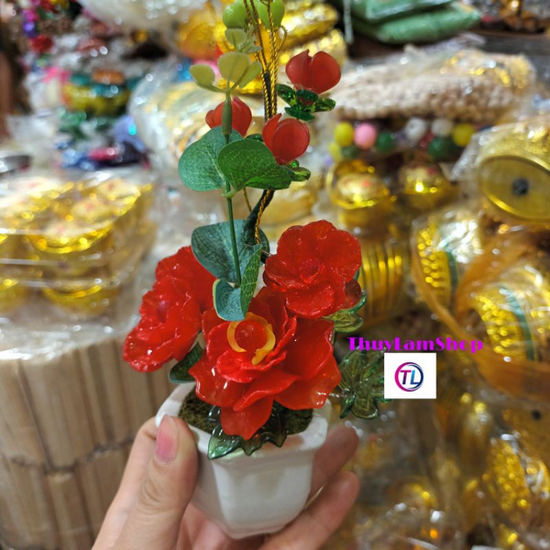 Chậu gốm sứ bình bông mai mini xinh xinh để bàn hút may mắn