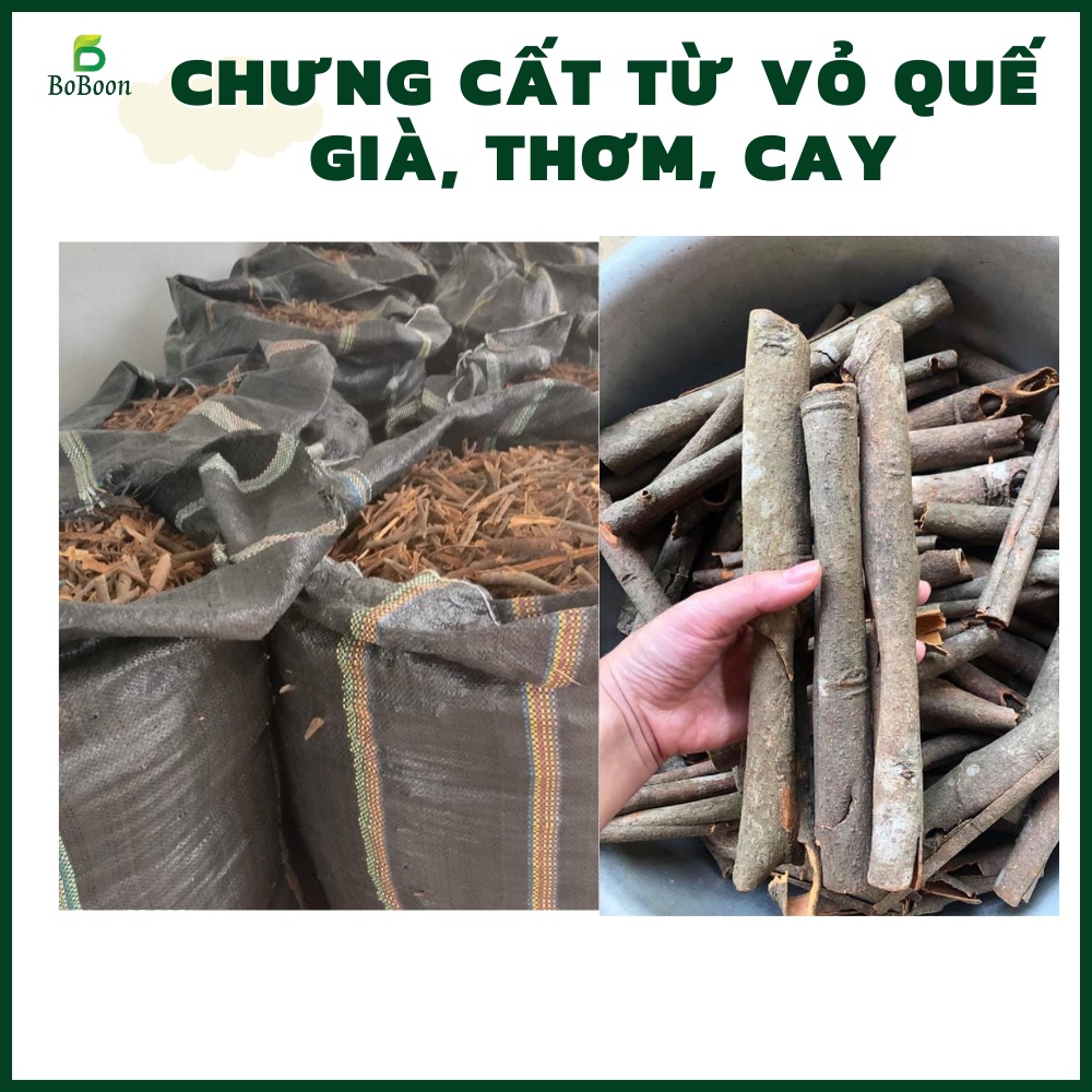 Tinh dầu vỏ quế Boboon đuổi côn trùng, thơm phòng, khử khuẩn