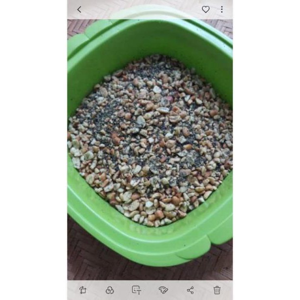 500g muối lạc vừng chay thơm ngon | BigBuy360 - bigbuy360.vn