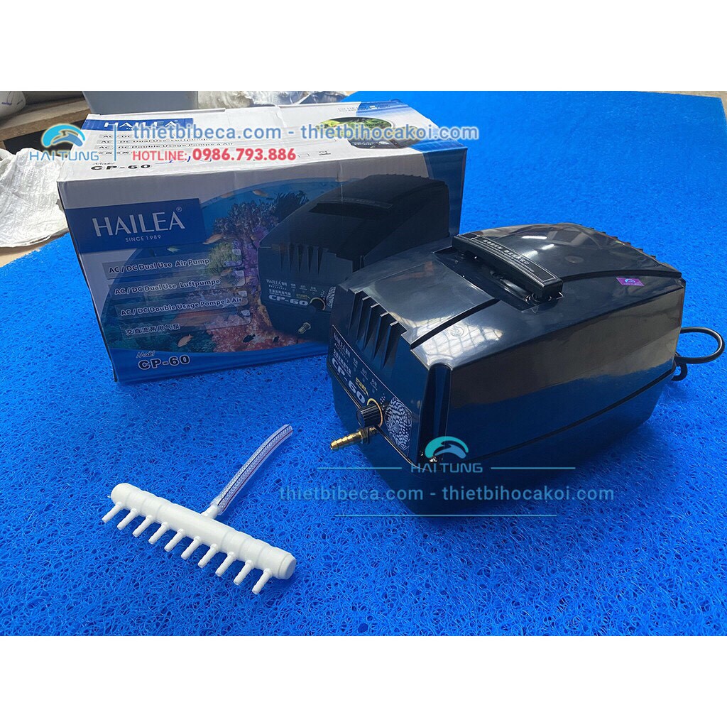 Máy sục khí tích điện Hailea CP 60, máy sủi oxi cho bể cá cảnh và bể hải sản, đầu ra 10 quả sủi