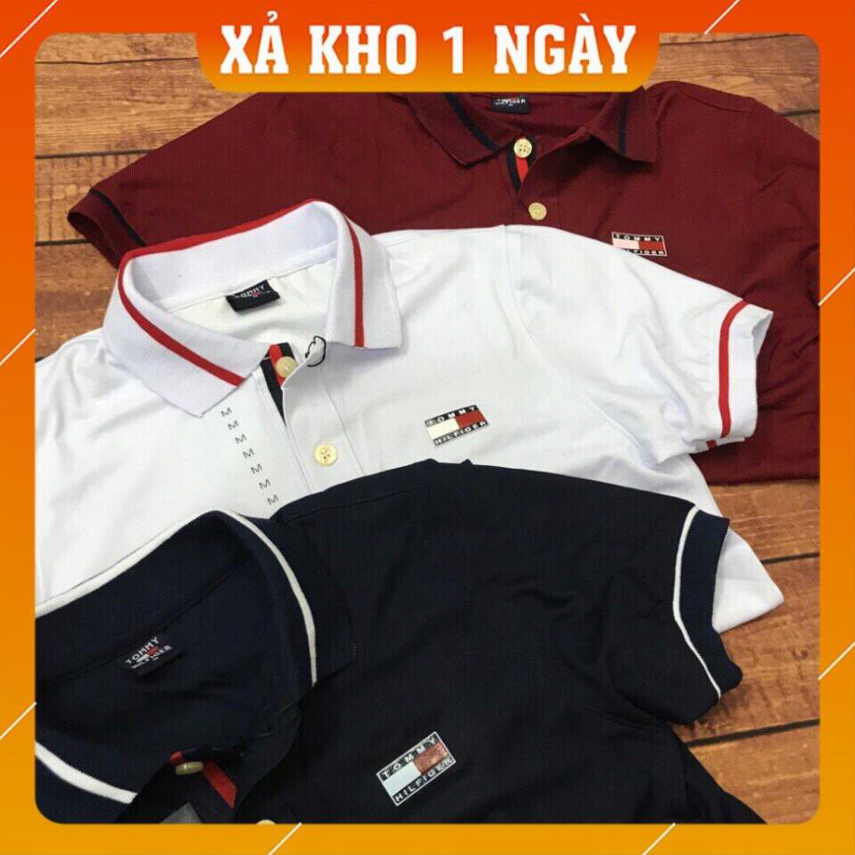 Áo Thun Cổ Bẻ Tom Cotton Nam