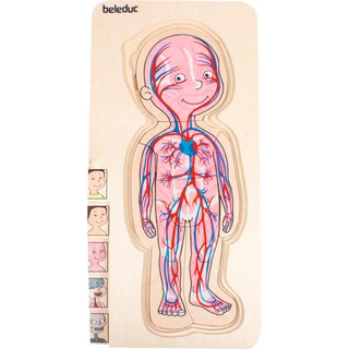 Bộ ghép hình Multilayer Puzzles – Your Bodies (Little Boy)