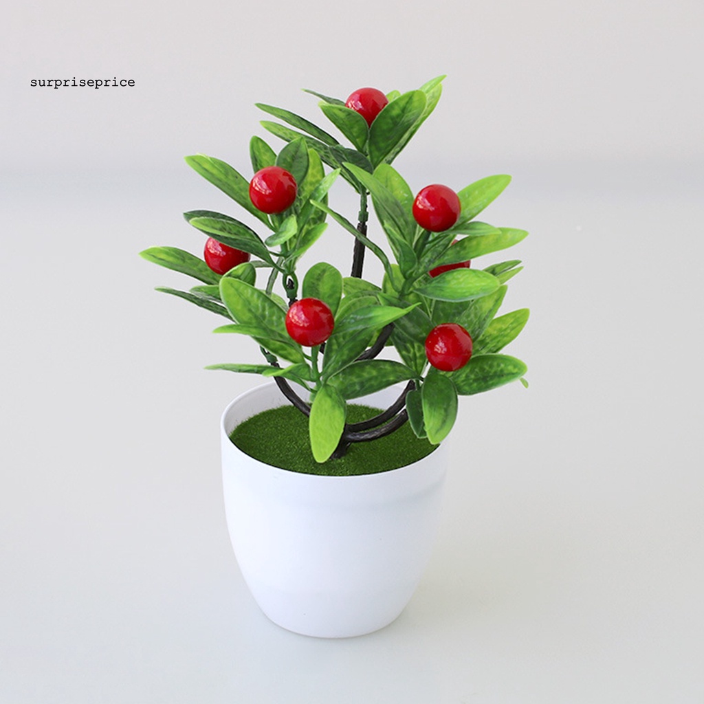 Chậu cây bonsai nhân tạo bằng nhựa sống động như thật trang trí nhà cửa nhiều kiểu dáng