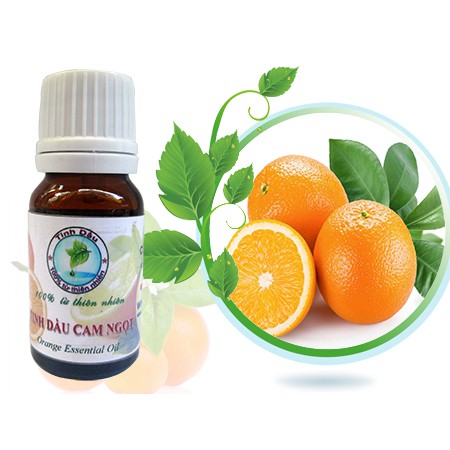 Tinh Dầu Cam Ngọt