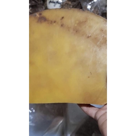 SÁP ONG RỪNG NGUYÊN CHẤT dạng tảng_chữa bệnh Loại 1 [100g]
