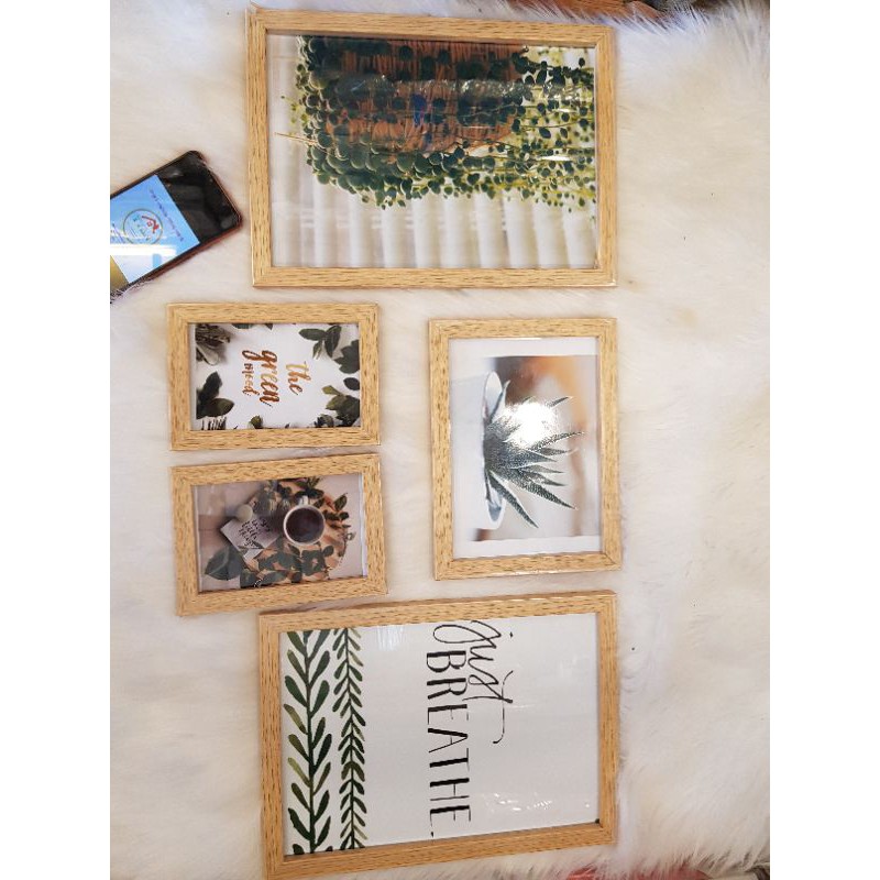 Rẻ nhất Bộ Khung Hàn Quốc Treo Tường Hoa Lá Xanh [Bảo Hành Bể Vỡ) | BigBuy360 - bigbuy360.vn