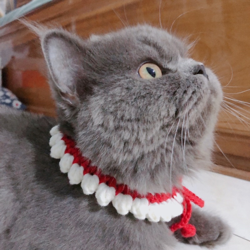 VÒNG CỔ HANDMADE LEN CHO MÈO
