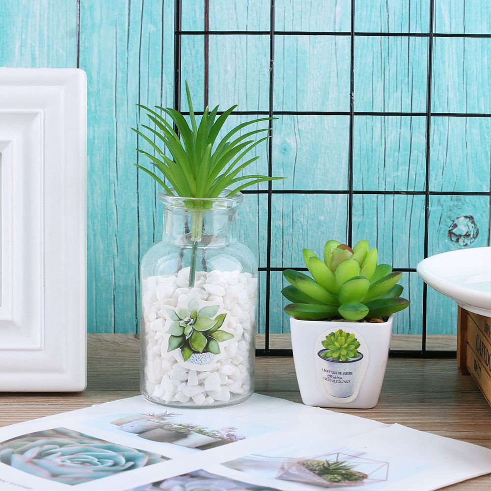 Hộp 50 miếng dán trang trí hình cây mọng nước hoạt hình đáng yêu