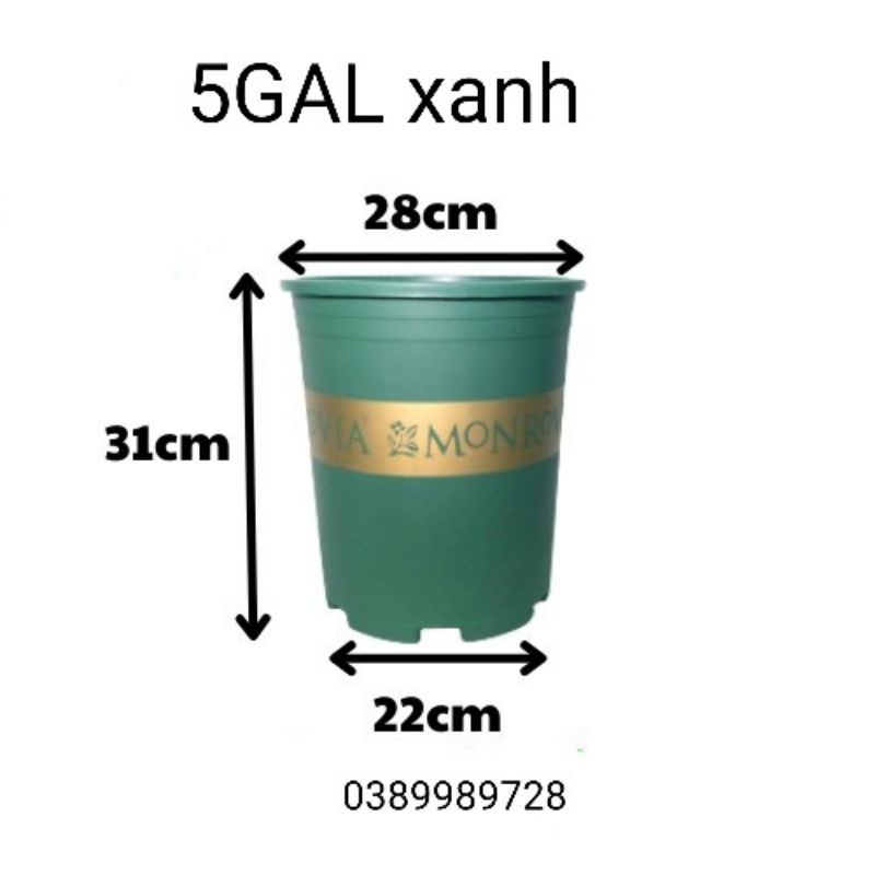 Chậu Monrovia 5Gal kích thước 28x31cm