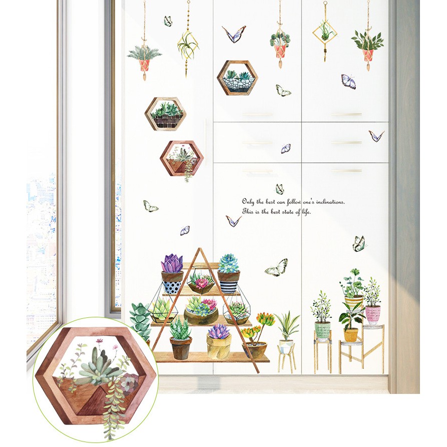 Decal dán tường Nhiều chậu hoa đá sắc nét