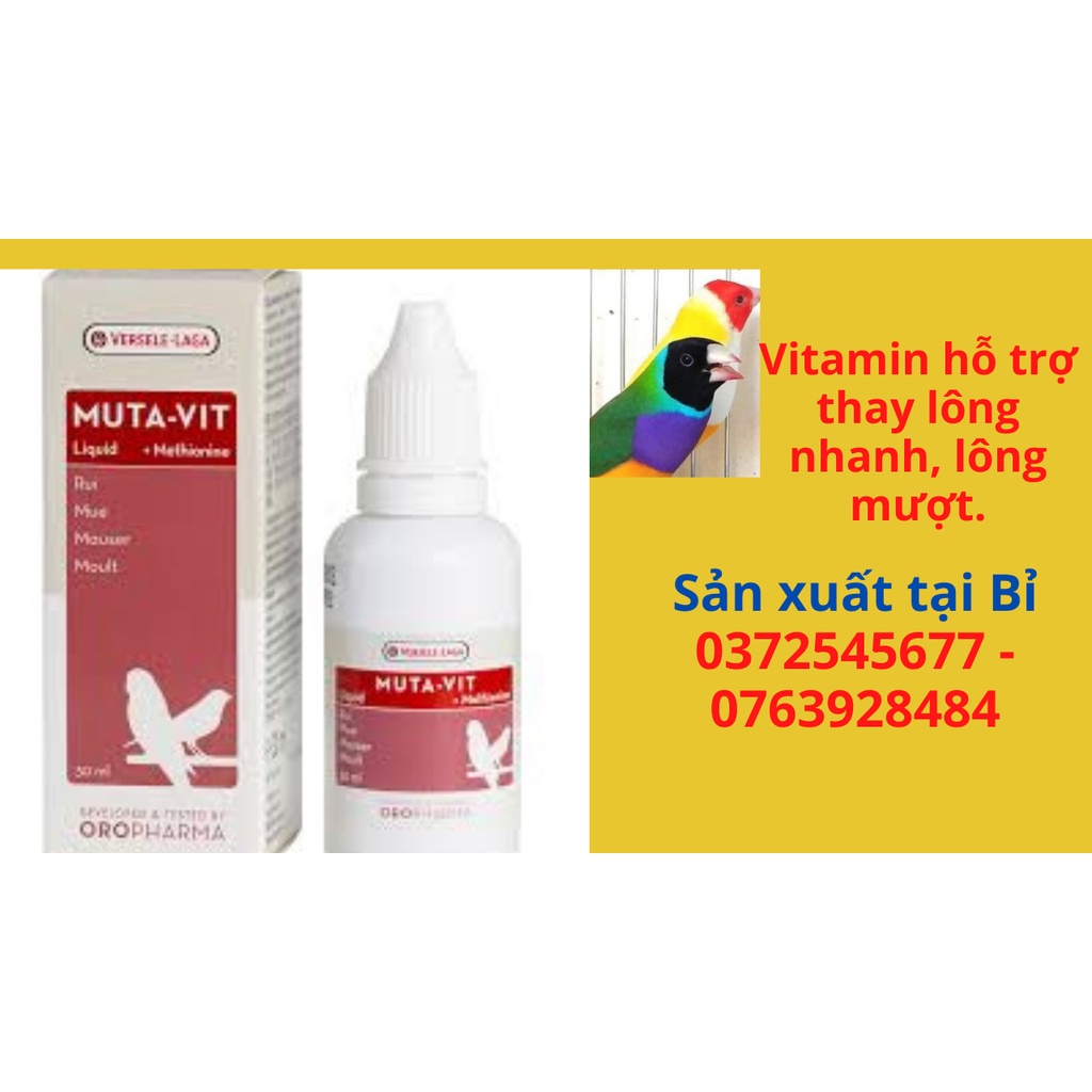Muta vit bổ sung vitamin cho chim, giúp chim thay lông nhanh, sản xuất tại Bỉ. 10ml/130k