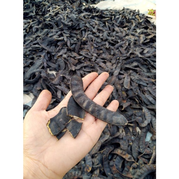 BỒ KẾT RỪNG GIA LAI_VỤ MỚI KHÔNG Ủ THUỐC CHỐNG MỐC. 500GR