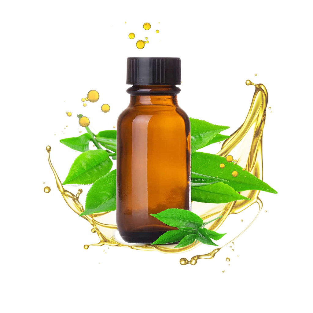 Tinh dầu trà xanh nguyên chất ( GreenTea Essential Oil ) GUTY