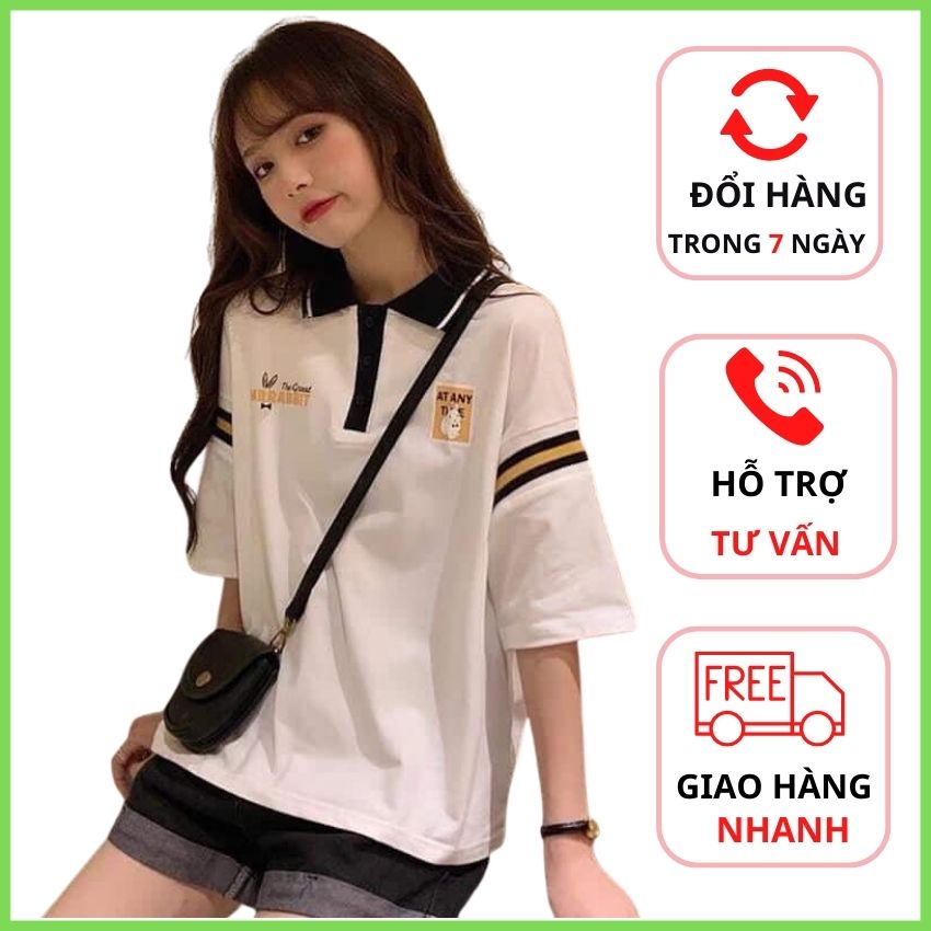 Áo polo nữ ngắn tay thỏ mập phong cách hàn quốc thiết kế trẻ chung quynh.anh.1992