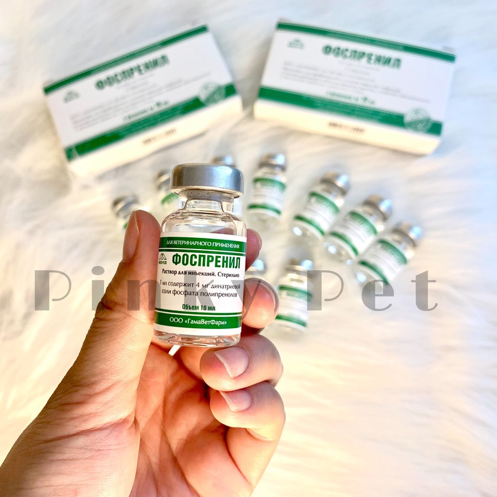 FOSPRENIL ĐIỀU TRỊ FIT và điều trị các bệnh nhiễm virus ở Chó Mèo Nhập Nga