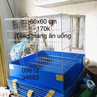 khay đựng cát trấu cho lồng 60x60cm bằng nhựa