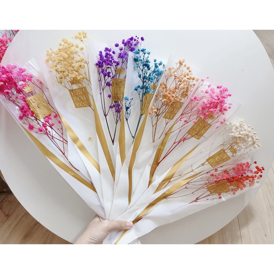 Hoa baby khô Quà tặng hoa khô Hoa Decor trang trí