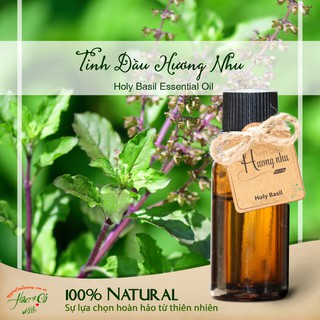 Tinh Dầu Hương Nhu ( Holy Basil Essential Oil )