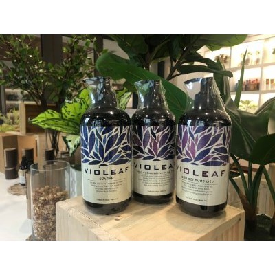 Bộ Gội-Xả Dược Liệu VIOLEAF 480ml
