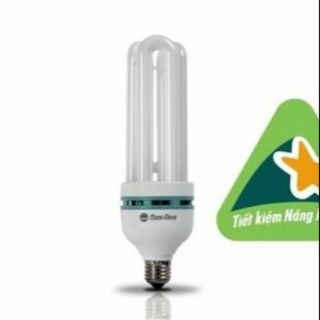 Bóng compact rạng đông 50w 4u 4ut5