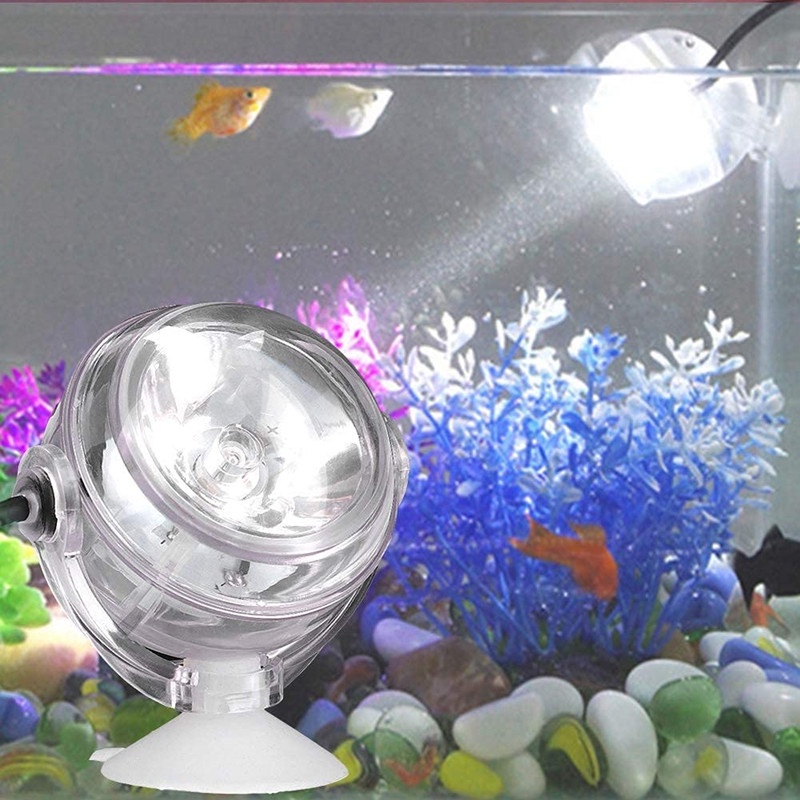 Đèn led trang trí bể cá chống nước có giác hút