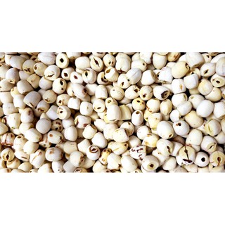 Hạt Sen Khô - Đồng Tháp - 500g