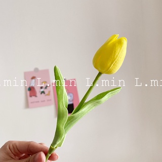 Hoa Tulip decor loại 1 (hoa màu pastel) L.min