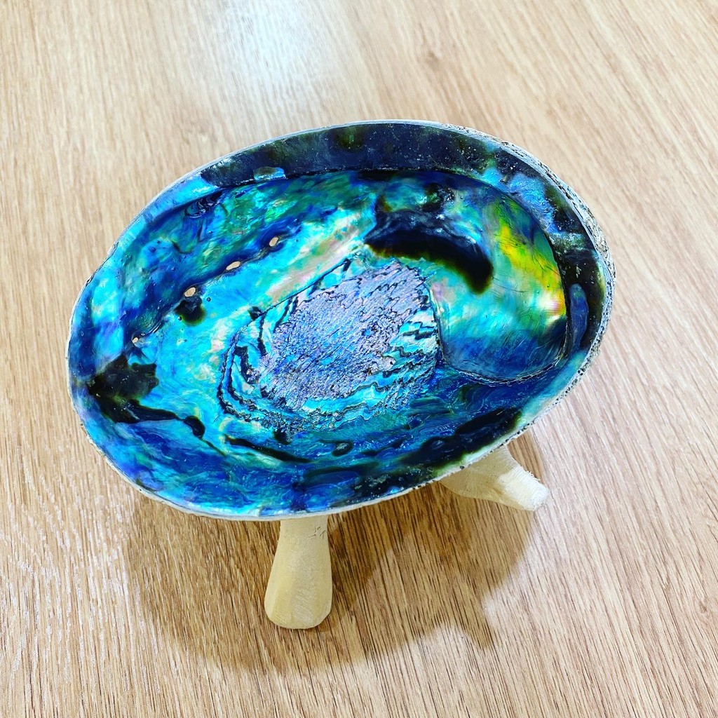 ĐĨA ỐC New Zealand - Natural Abalone Shell - THẢO MỘC XÔNG NHÀ | BigBuy360 - bigbuy360.vn