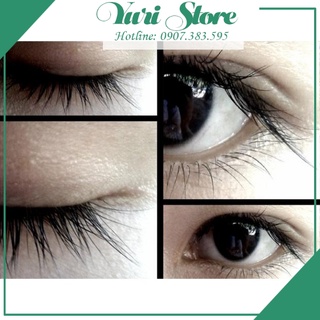 Mascara Dầu Dừa Mọc Dài Mi