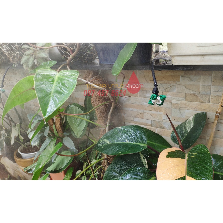 Van bù áp chống rỉ rò nước đầu béc cân bằng áp lực 1 đầu trơn 1 đầu gài cho béc phun sương dây 8mm 8li - MHL