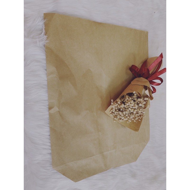 100 TG nâu size 30 x 40 cm đựng vừa quần áo, gói rau củ