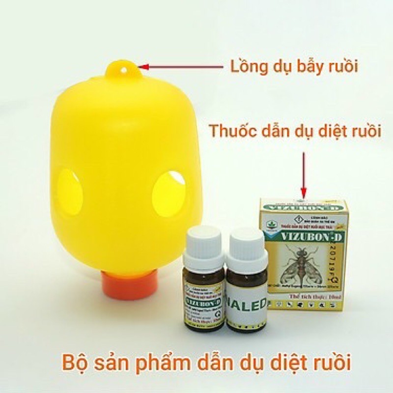 bẩy ruồi vàng