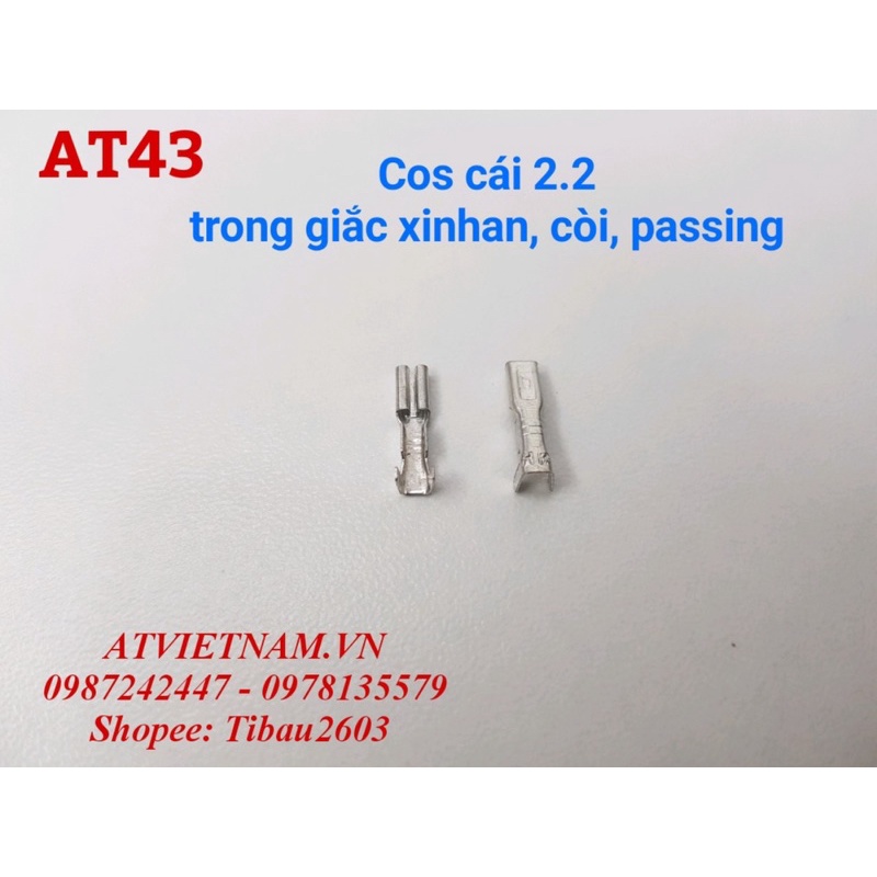 Cos cái 2.2 trong jack xinhan, jack còi, passing - AT43