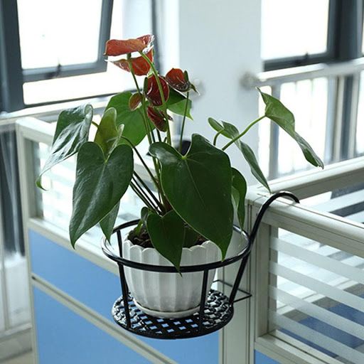 Giá đỡ chậu hoa treo ban công