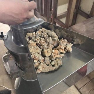 100g bột tam thất bắc nghiền mịn