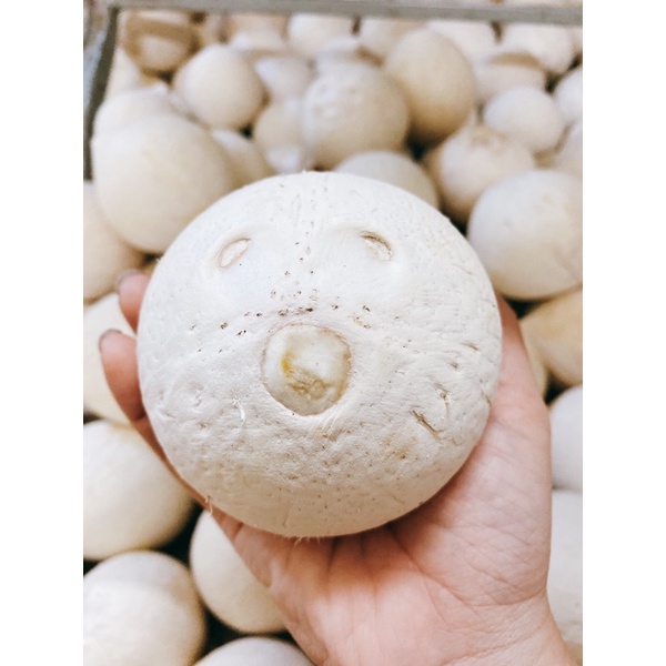 Dừa Xiêm Bến Tre Gọt Tiện Lợi