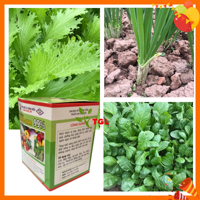 Phân Bón Lá Rong Biển SEAWEED-EXTRA 99% - Phân bón rong biển kích thích ra hoa, chống rụng hoa, tăng đậu quả, Gói 10gr
