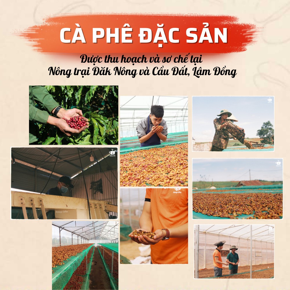 Cà phê Robusta Honey nguyên chất rang mộc 100% vị đắng đầm hậu ngọt thơm nồng dùng pha phin pha máy từ Message Coffee | BigBuy360 - bigbuy360.vn