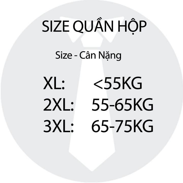 Quần túi hộp nam cao cấp jogger vải thun co giãn đen trẻ trung năng động VN74A