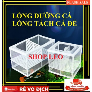  LỒNG DƯỠNG CÁ-LỒNG TÁCH CÁ ĐẺ- LỒNG ĐẺ BẢY MÀU- LỒNG CÁ ĐẺ